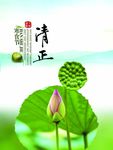 清新寒食节海报分层海报