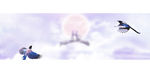 情人节banner背景