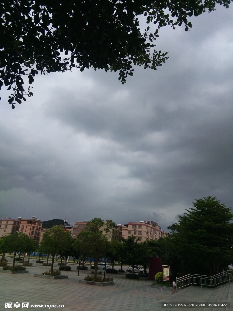 暴雨将至
