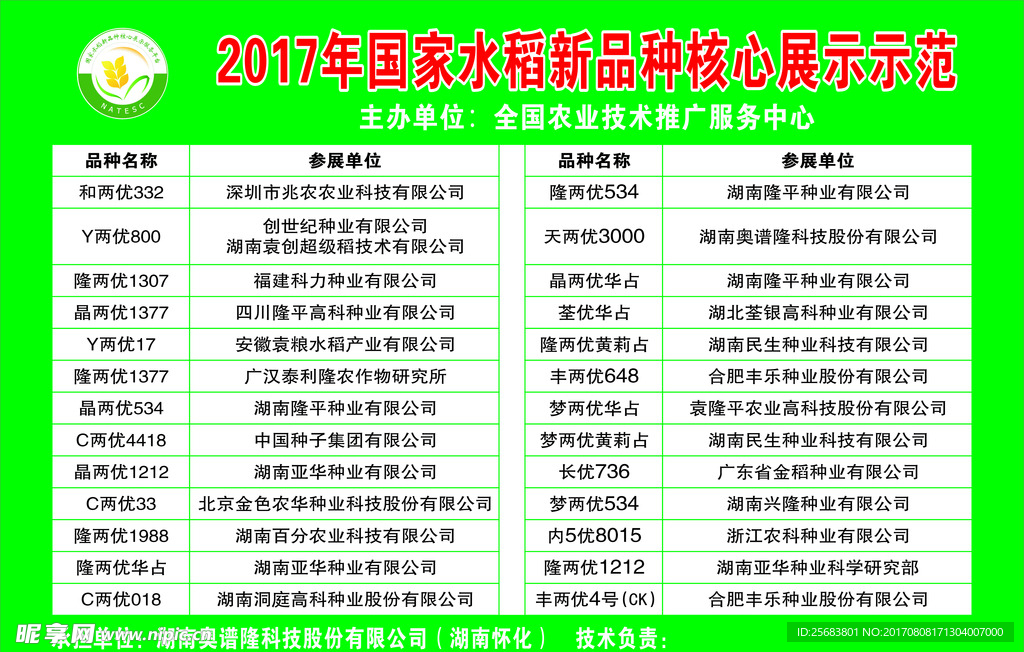 绿色通道
