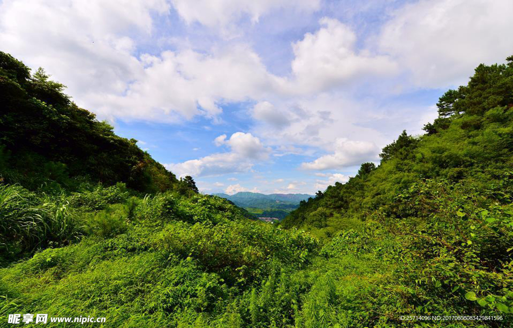 山顶风景