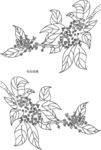 桂花线稿