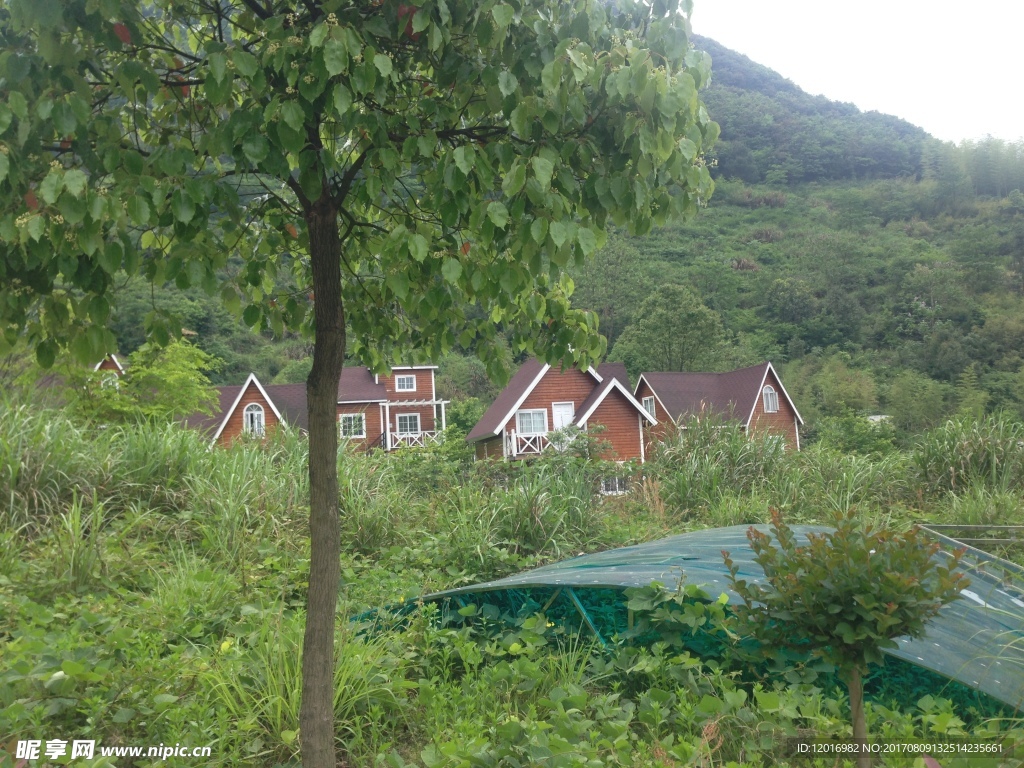 天龙风景区