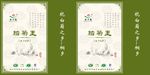 桐乡胎菊王童子菊包装手提袋