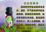 迷迭香精油