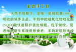 羊奶手工皂