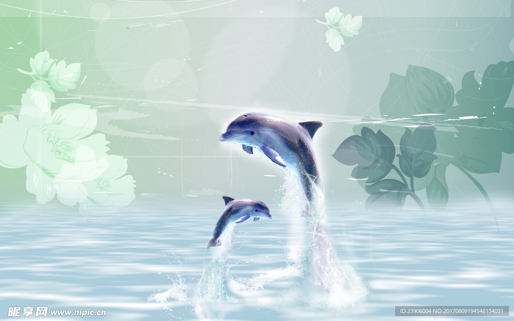 海豚