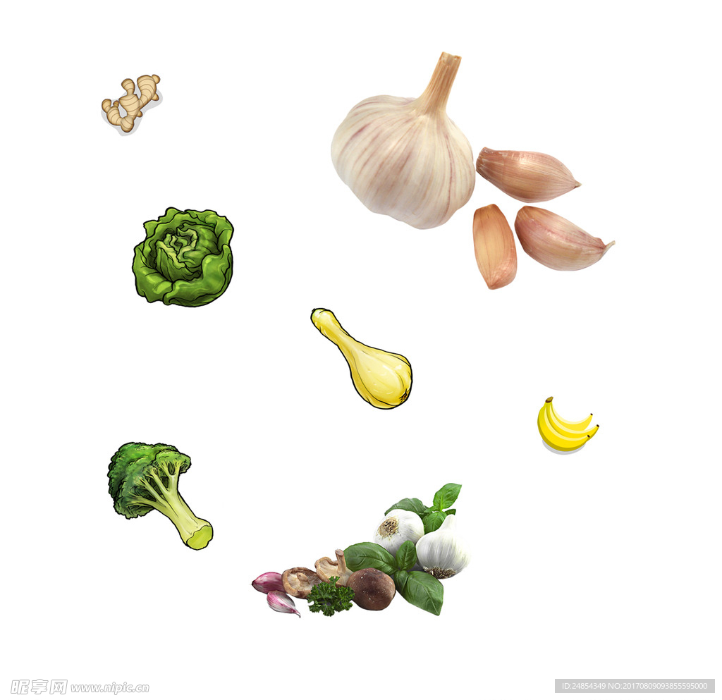 蔬菜