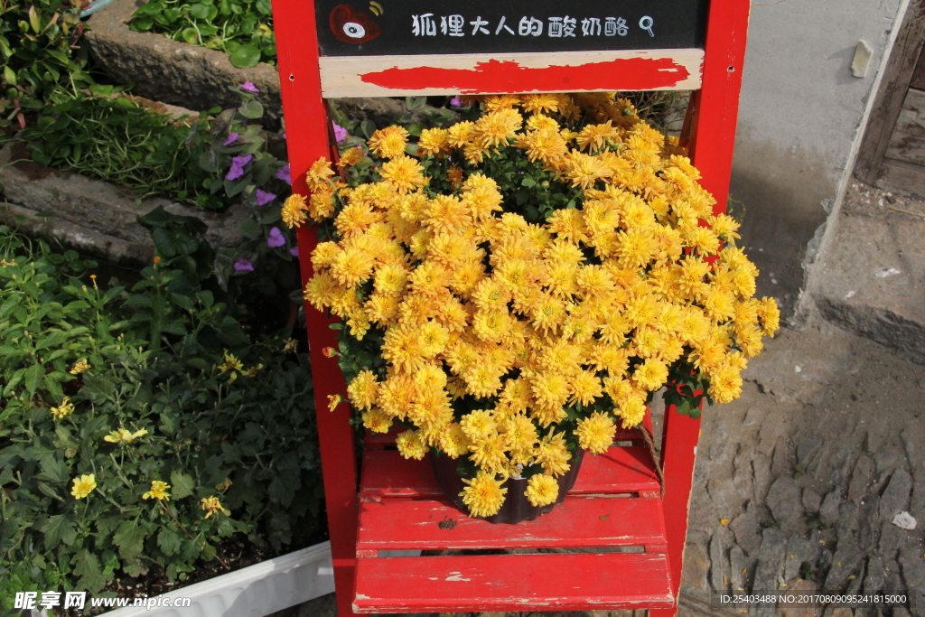 平江路特写