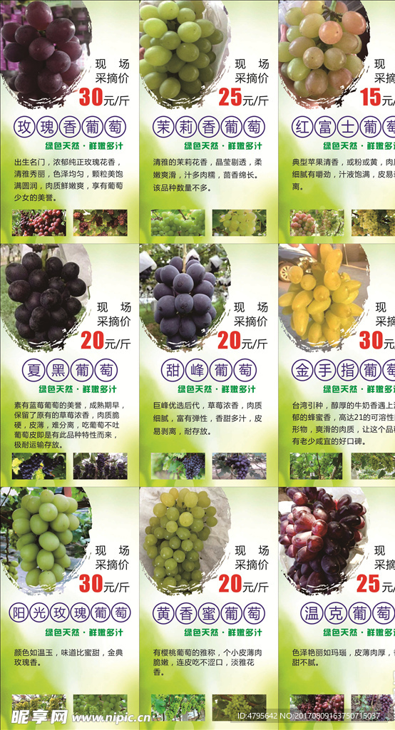 葡萄海报
