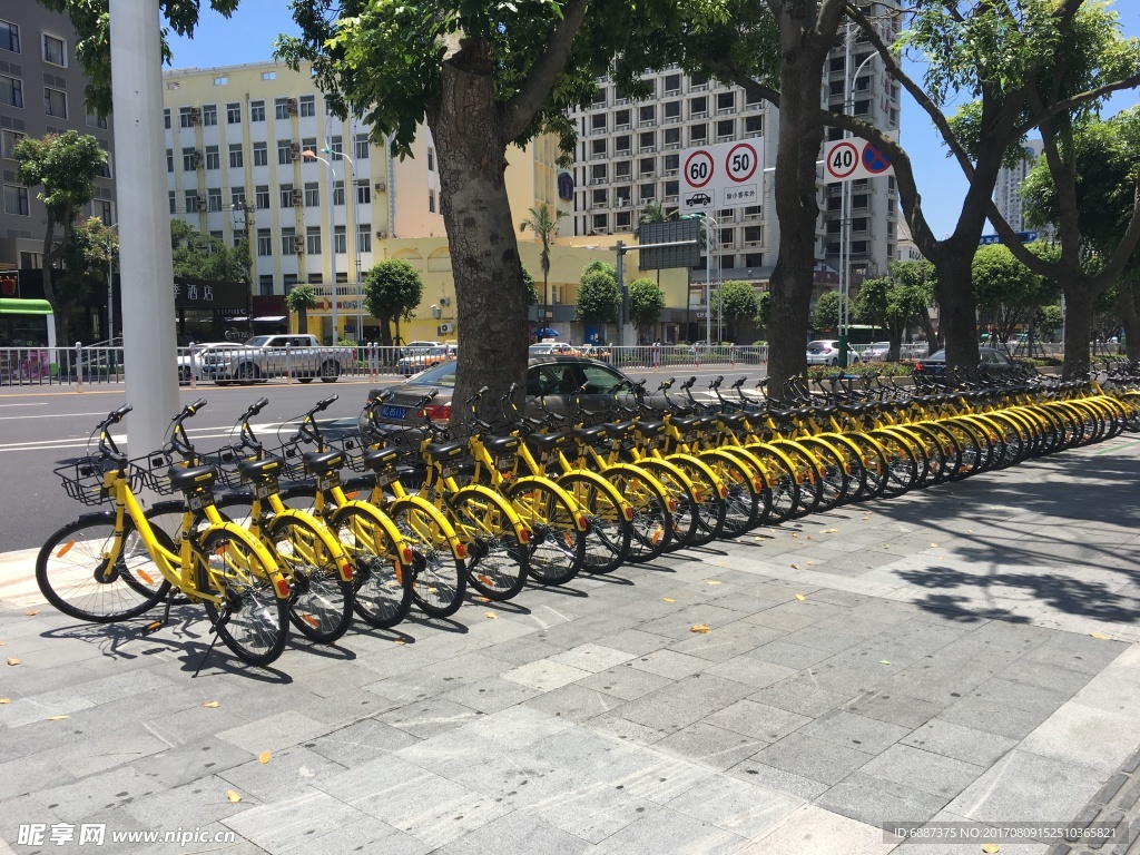 共享 自行车 小黄车