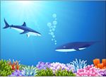 海底世界