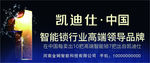 中国智能指纹锁领军品牌