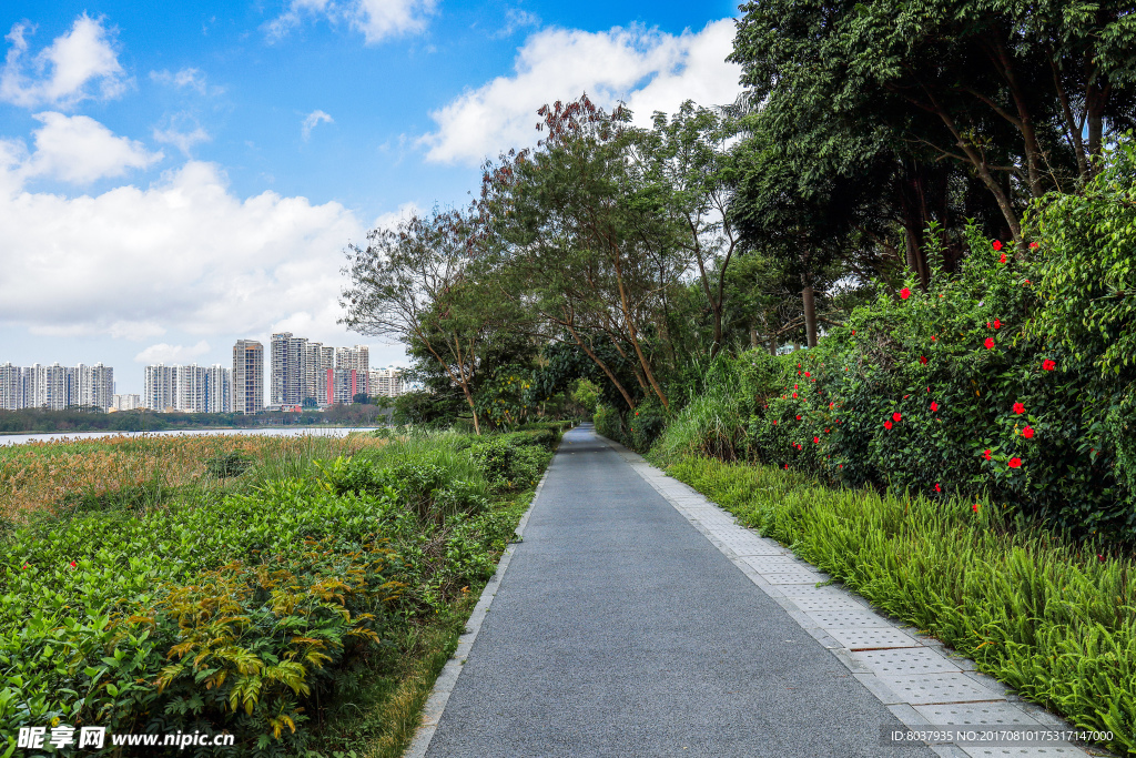 深圳华侨城湿地公园