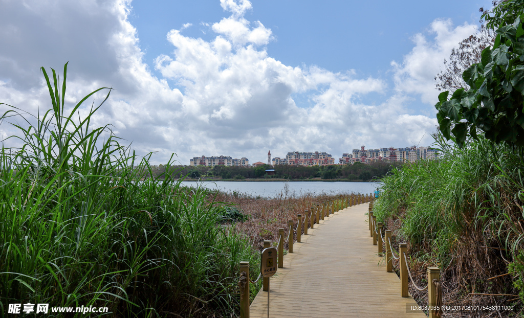 深圳华侨城湿地公园