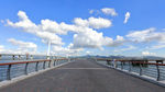 深圳湾公路大桥