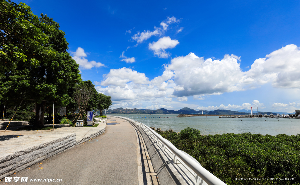 深圳湾休闲带西段