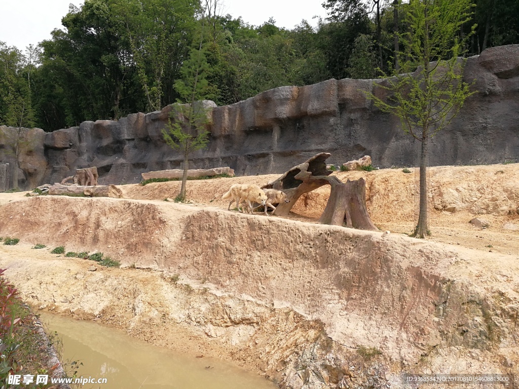 野生动物园