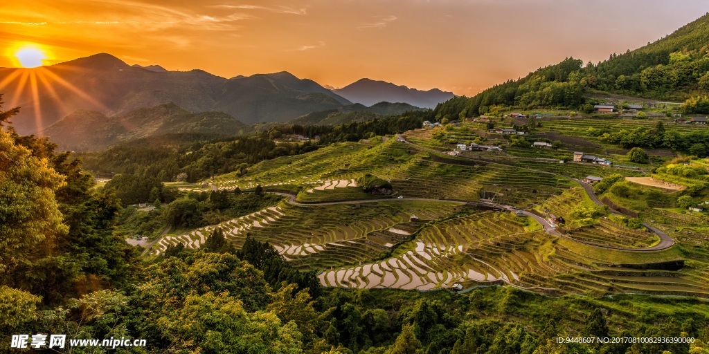 落日下的梯田景观图片