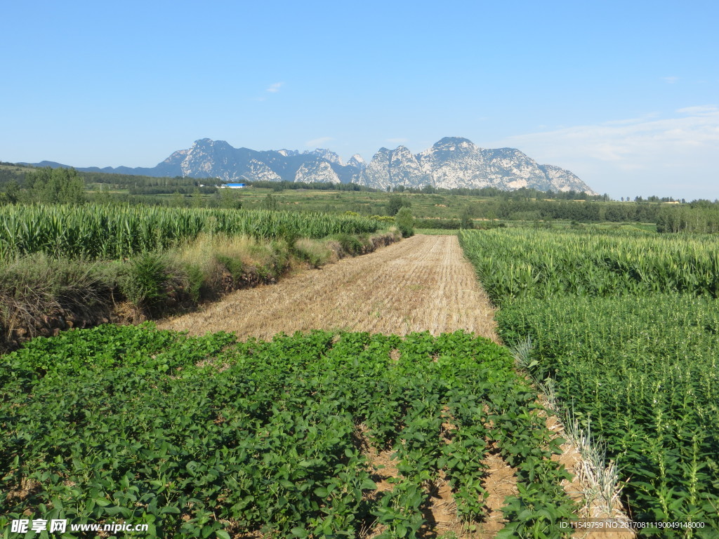 挡阳山全景