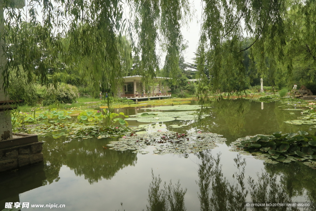 夏日植物园