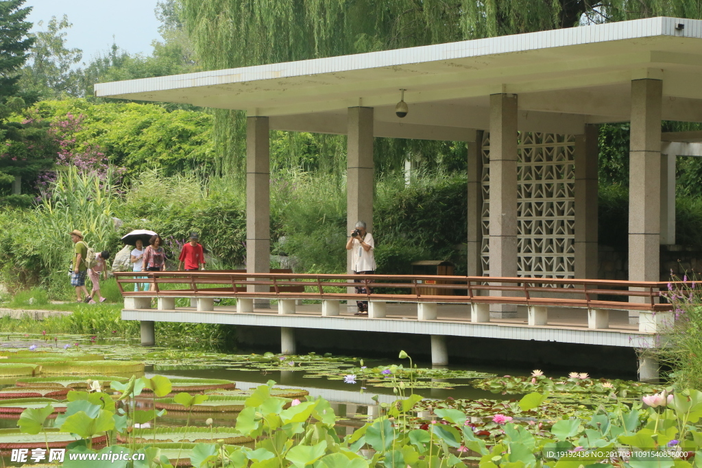 夏日植物园