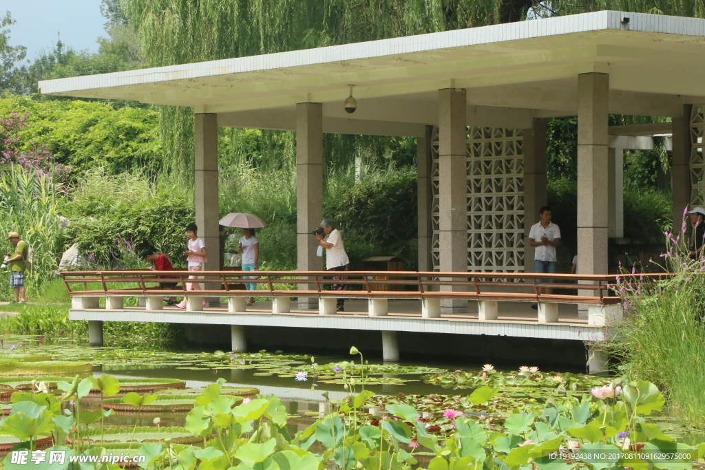 夏日植物园