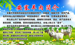简介