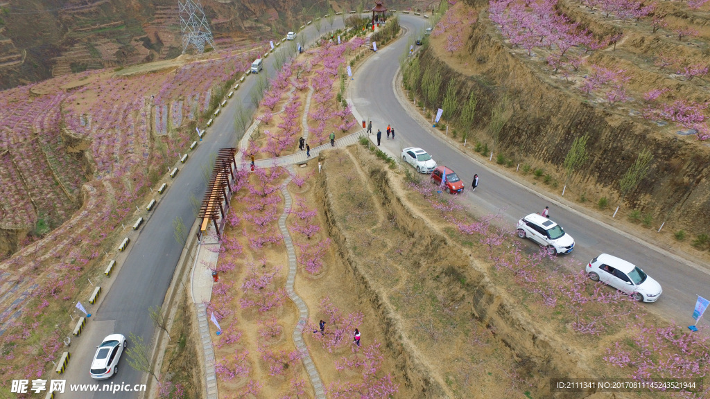 航拍秦安桃花