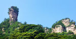 美山