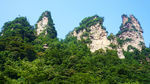 美山