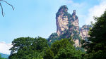 美山