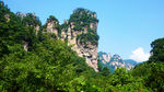 美山