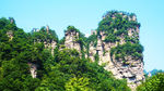山美