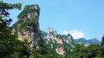寿星迎宾峰