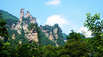 美山
