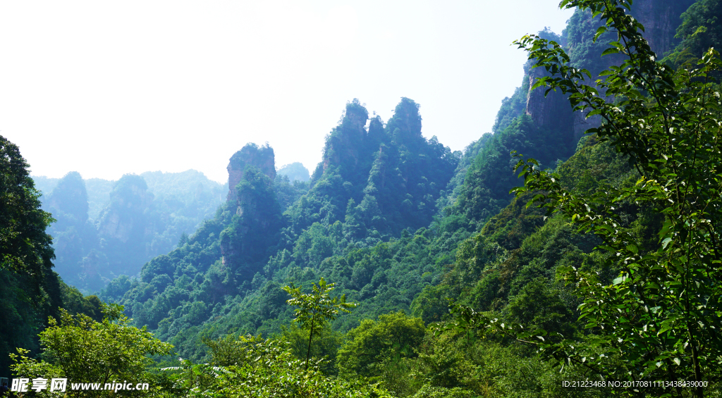 抱子峰