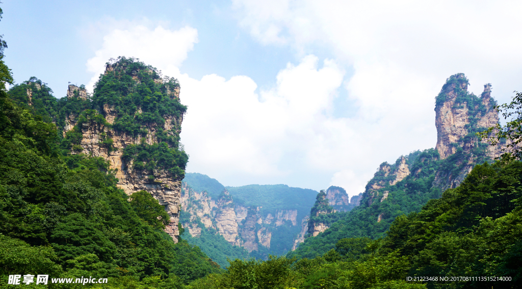 美山