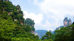 山美