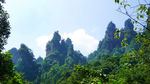 青山