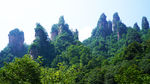 美山