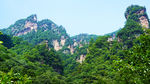 青山美