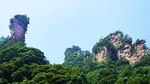 顶天楼峰