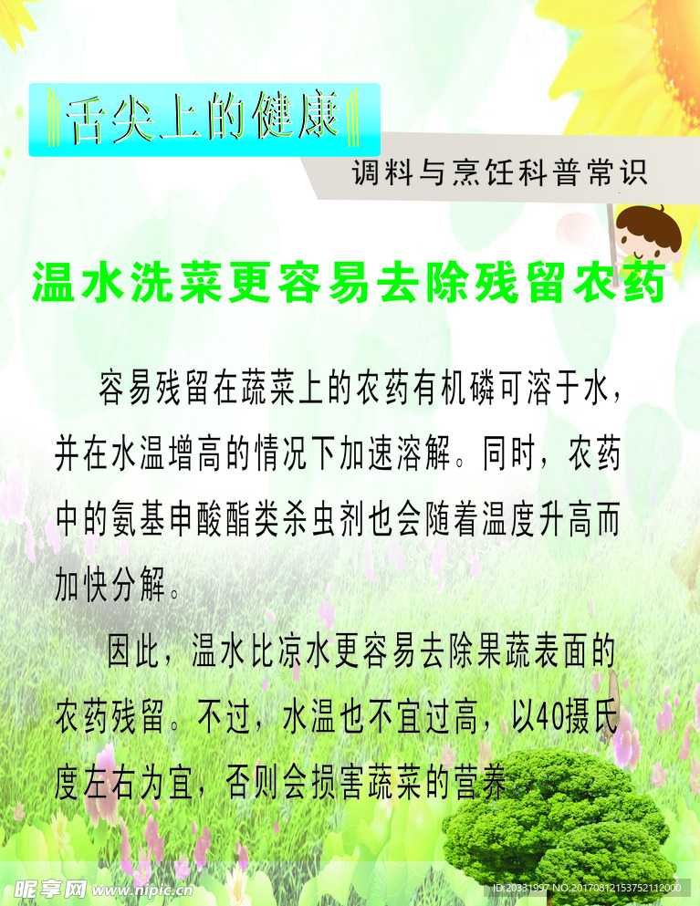 舌尖上的健康