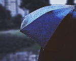 秋雨撑伞图片