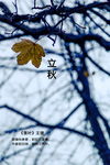 立秋祝福图片