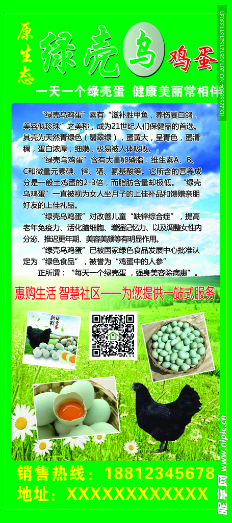 绿壳乌鸡蛋展架