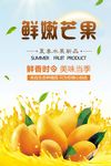 夏日清新芒果水果促销海报