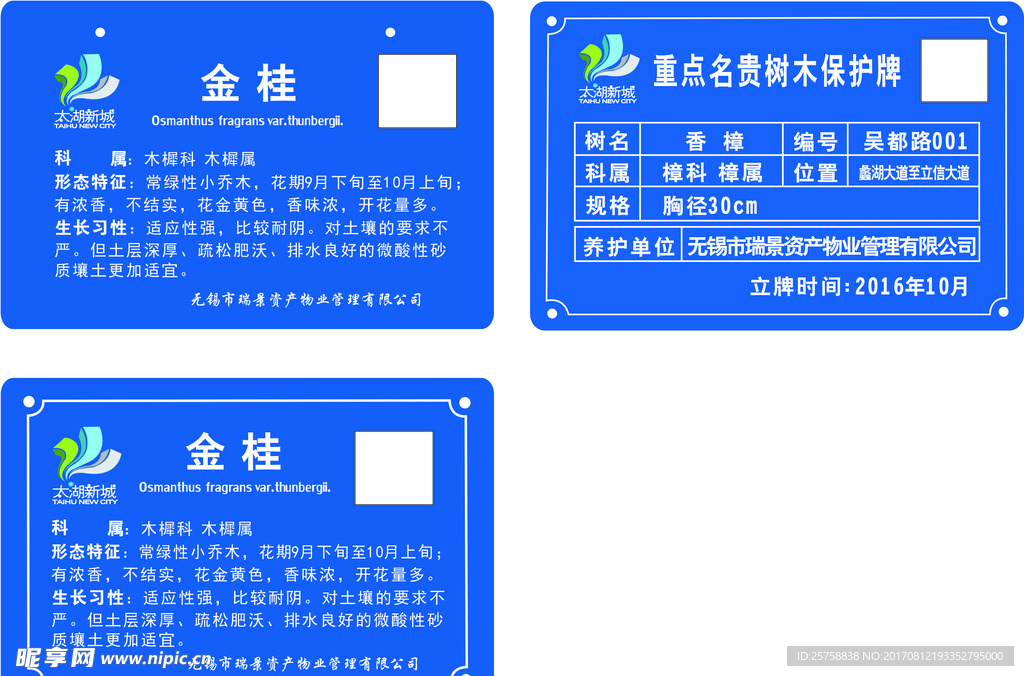 挂牌