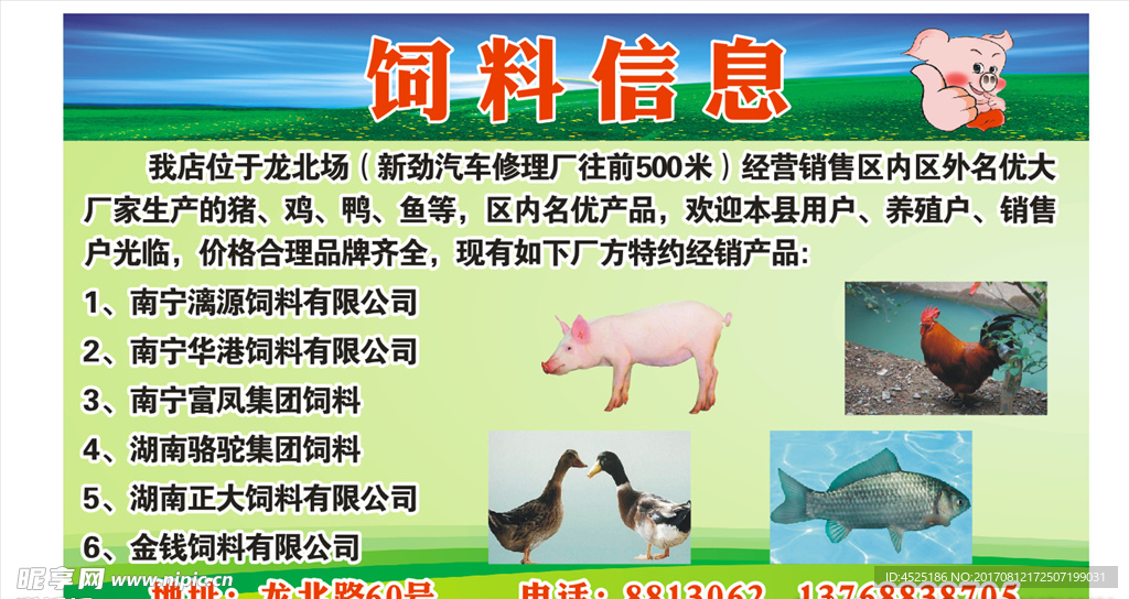 饲料